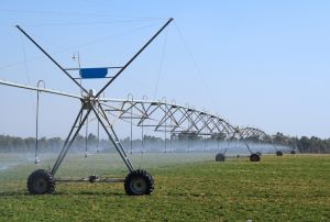 Irrigation