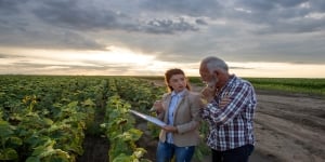 farmer and employee consulting in field small