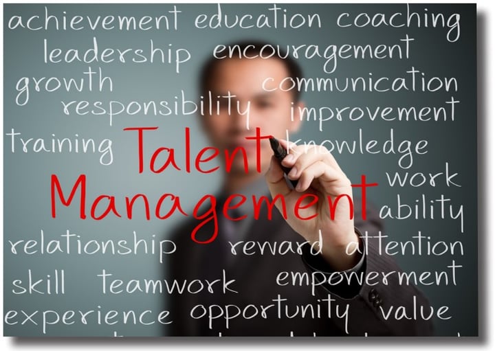 Shift in Perspective: Pay for Talent